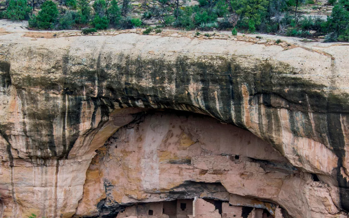 An Ancestral Puebloan cliff dwelling in Mesa Verde National Park. Above is a forest of burned trees.