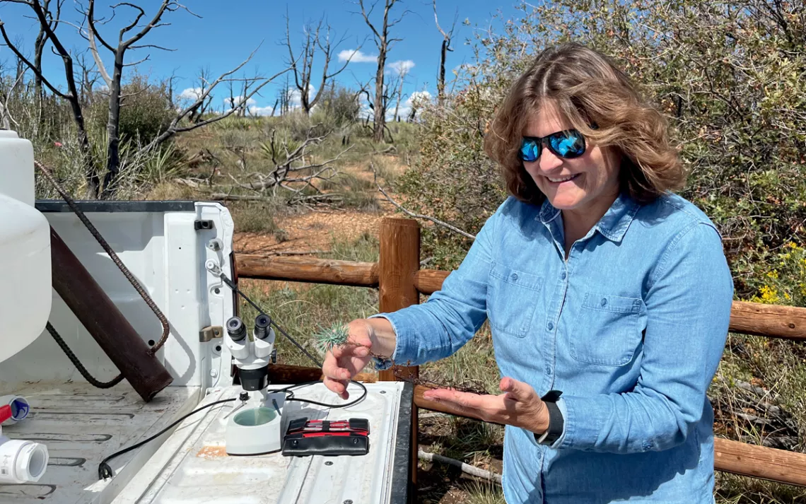 Catherine Gehring smiles next to a pickup bed, holding the roots of a sapling in her left hand and the sapling in her right.