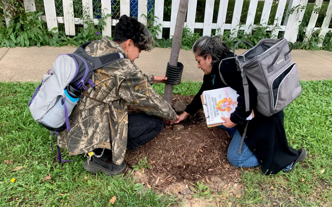 Citlally Fabela and Dulce Garduno squat down to examine the mulch around a recently planted tree. A white picket fence is in the background.