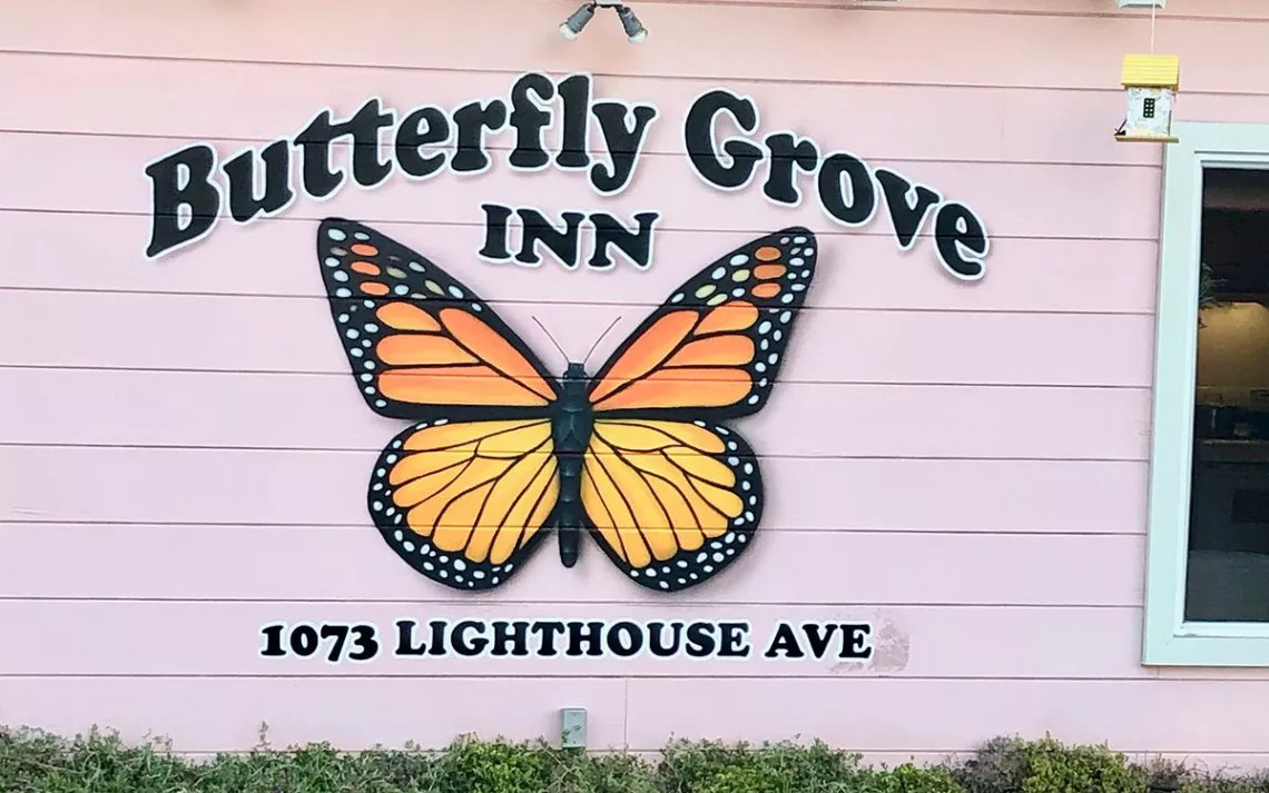 Bufferfly Grove Inn