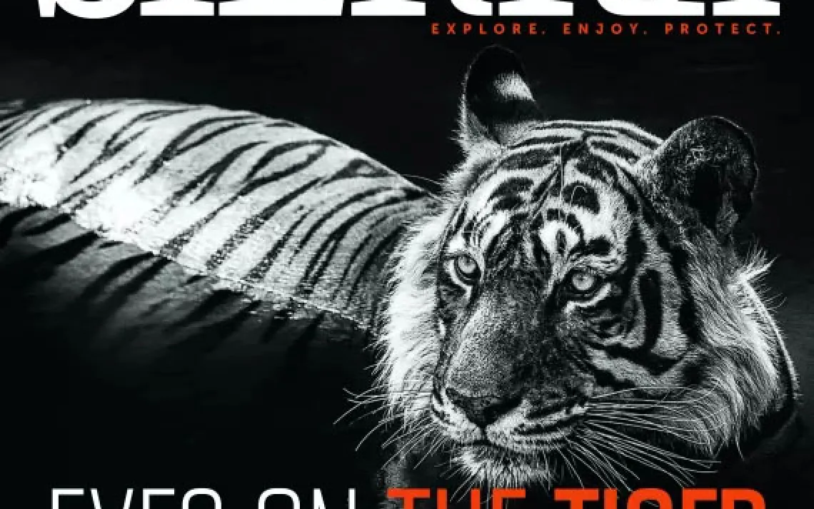 Sierra magazine cover