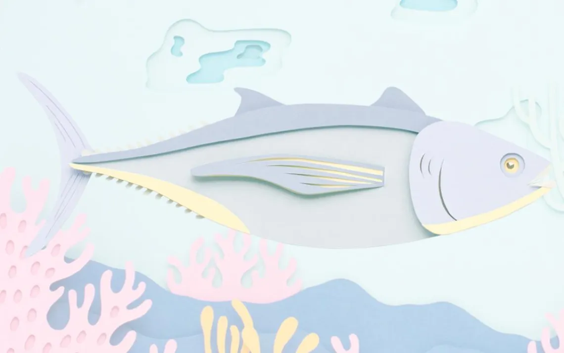 albacore