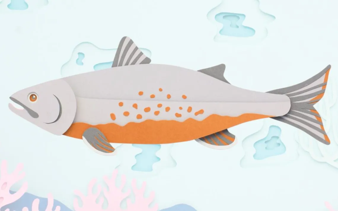 Arctic char