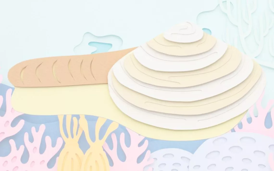 Geoduck