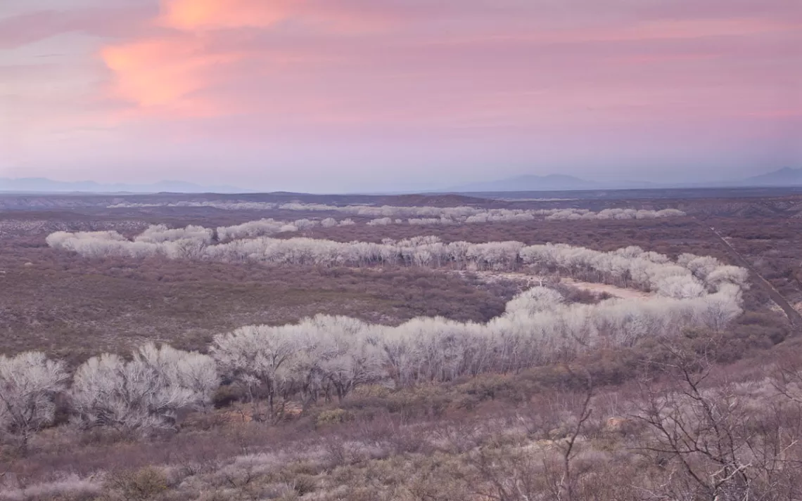 An aerial view of the The San Pedro riparian area at dusk.