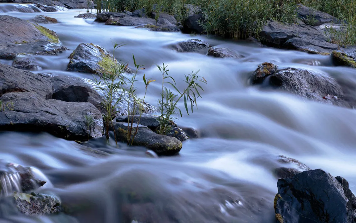 Cahaba River Bibb County Alabama Cahaba shoals.