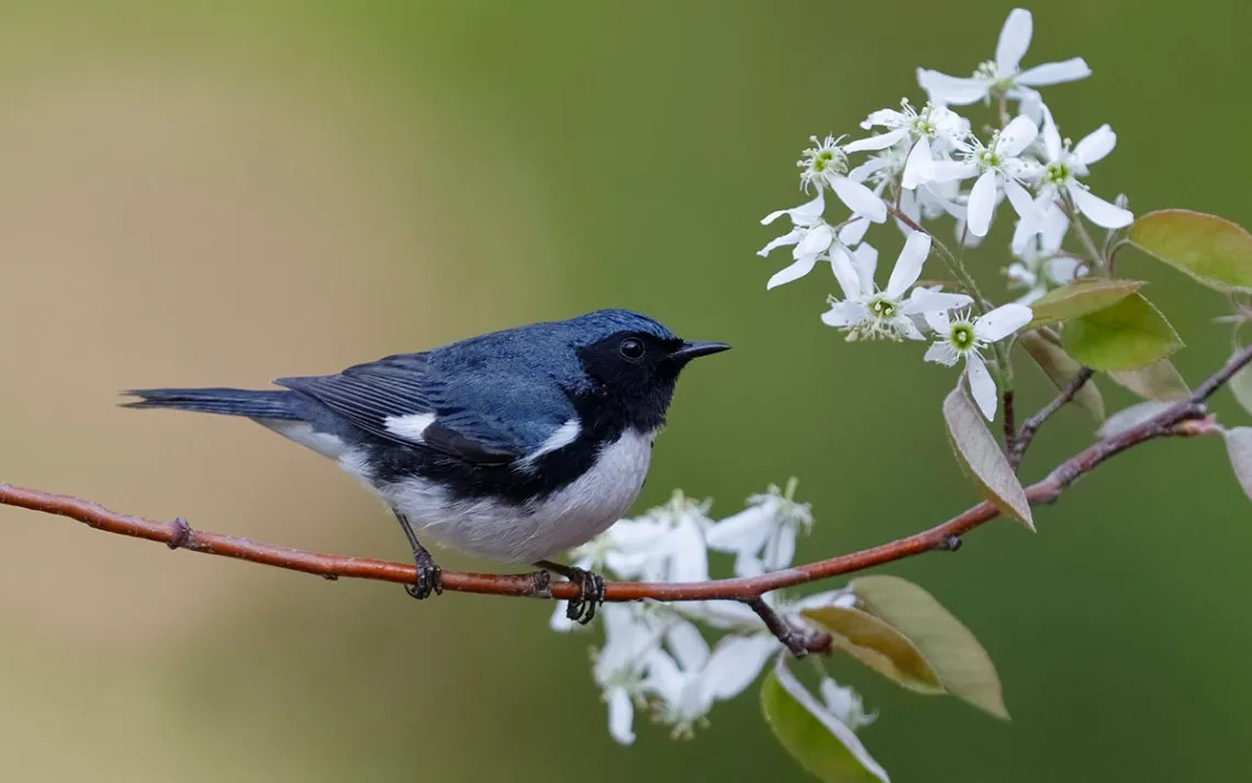Photo by BrianLasenby/iStock