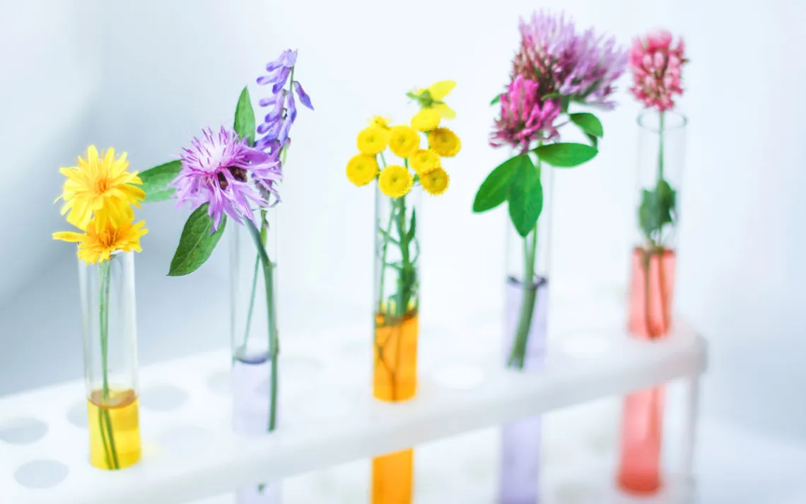 Photo by Elena Esich/iStock