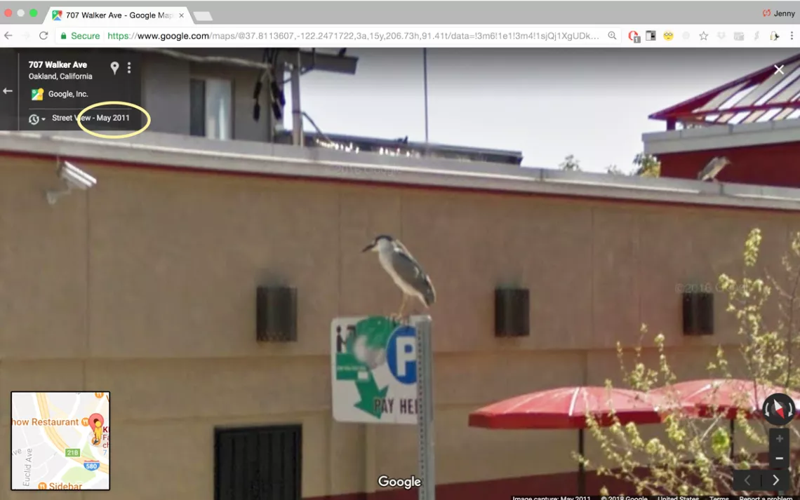 heron on a parking sign