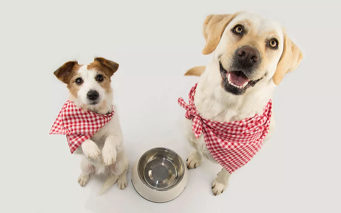 Photo by smrm1977/iStock