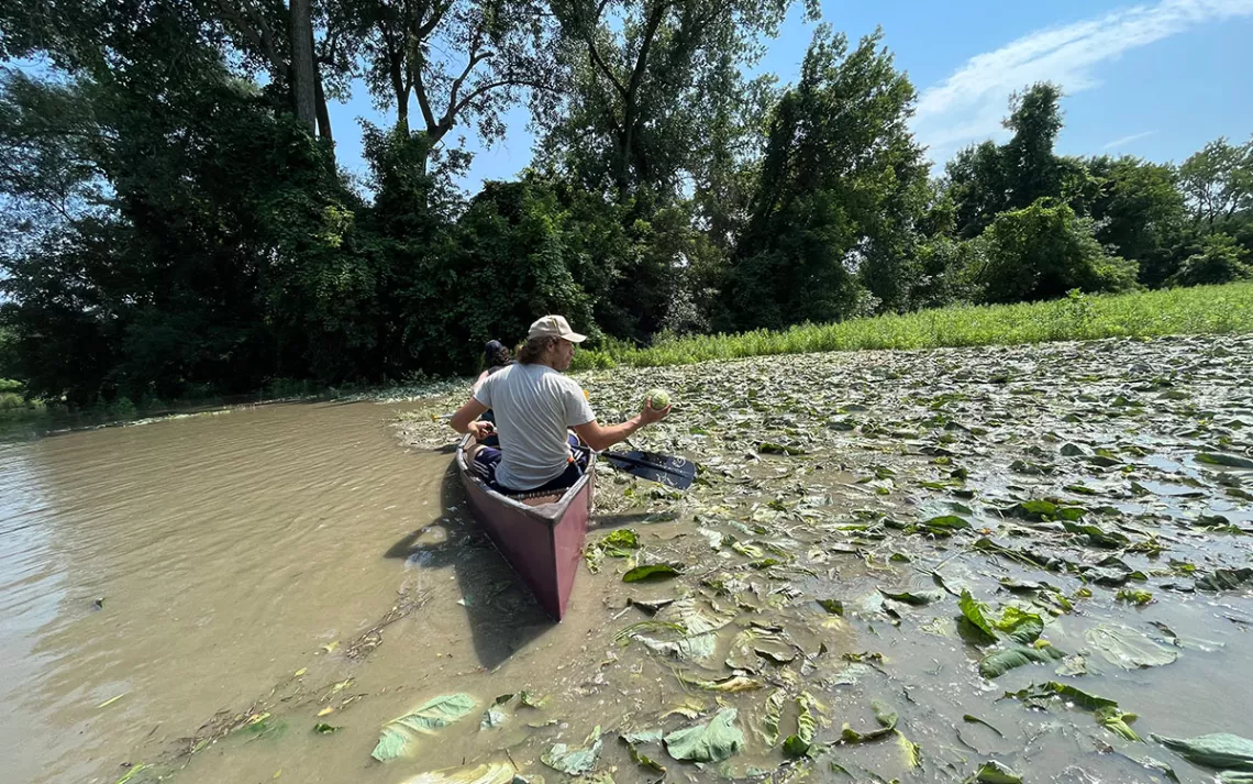 Photo courtesy Intervale Center