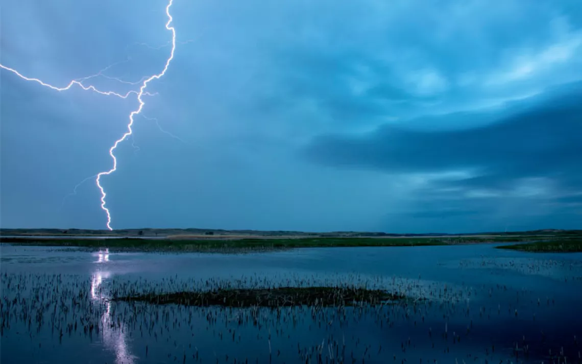 Lightning strikes a wetland on a dark-blue night.