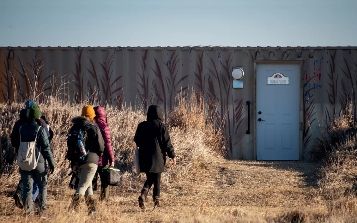 The backs of several people wearing cold-weather clothing as they walk toward the door of a blind.