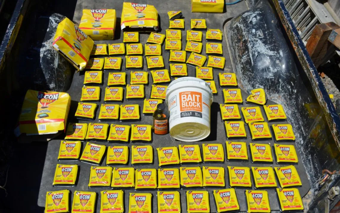 The amount of rat poison found at just one grow site