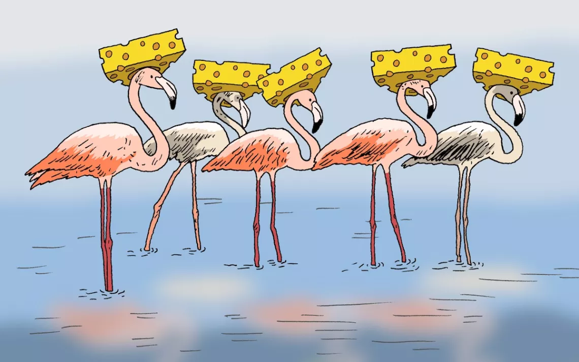 Illustration by Peter Arkle