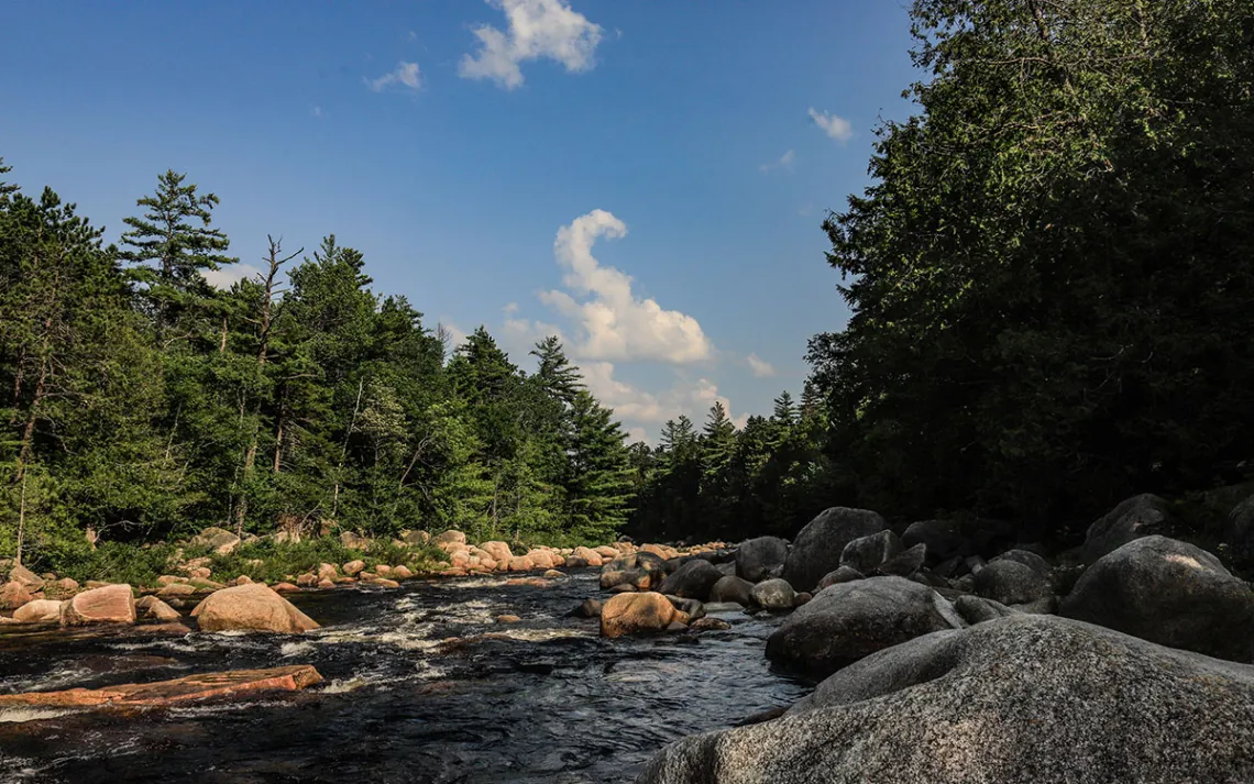 The downstream view of the Wissataquoik from Orin Falls.
