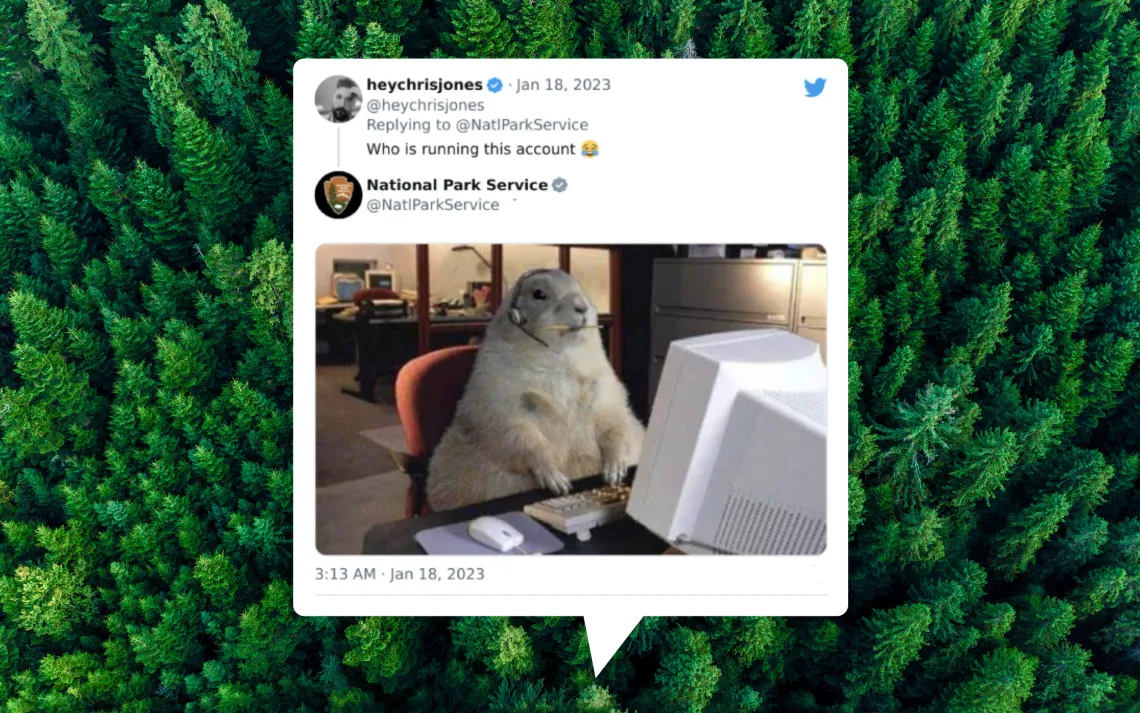 tweet on a background of trees