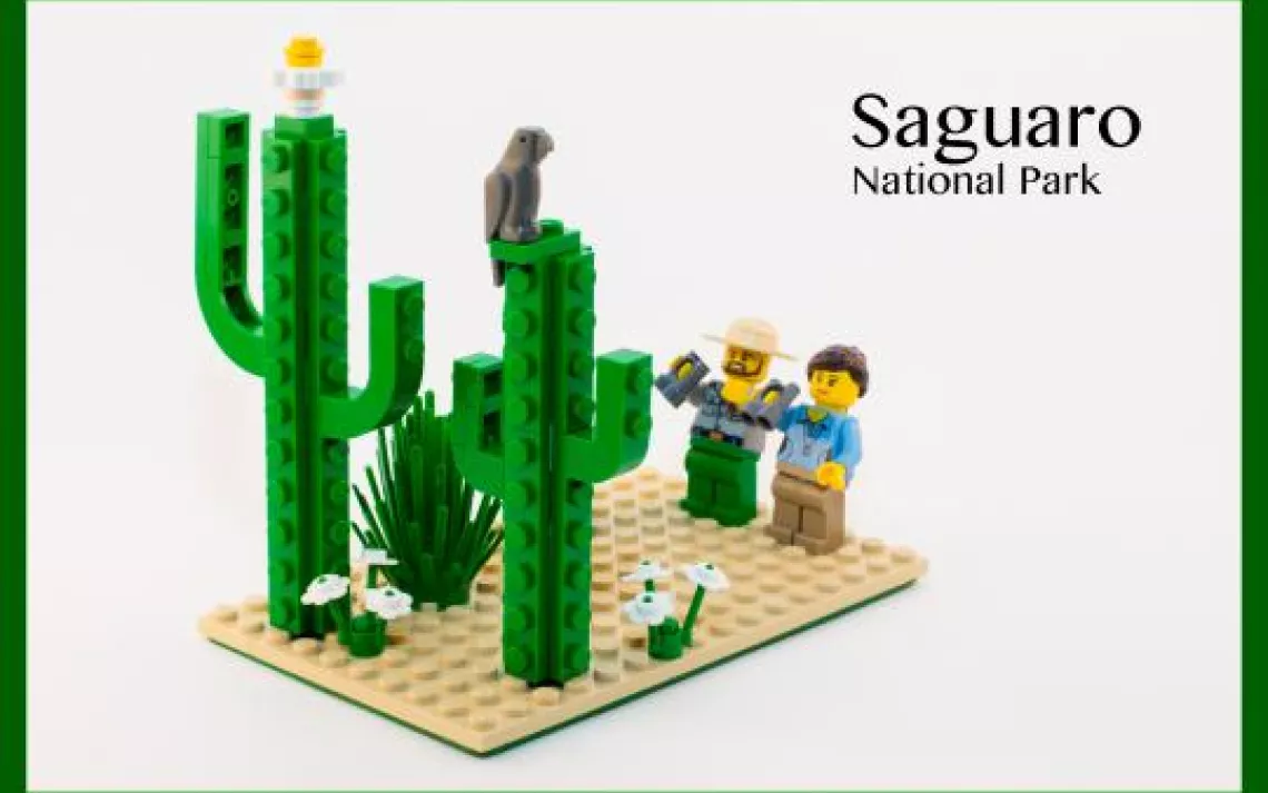 Saguaro National Park Lego
