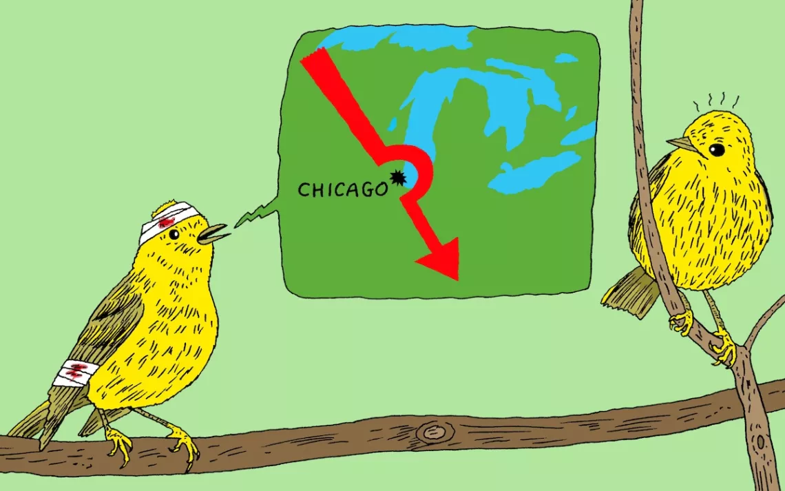 Illustration by Peter Arkle