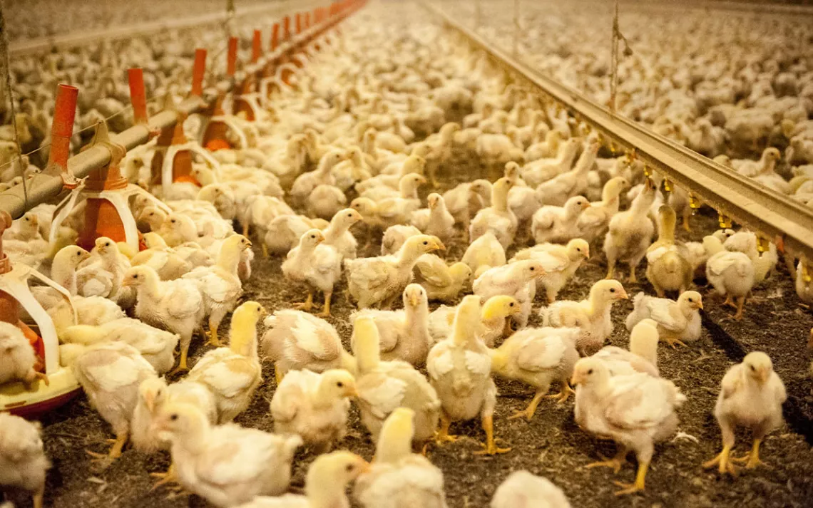 Photo by Edwin Remsberg / VWPics via AP Images