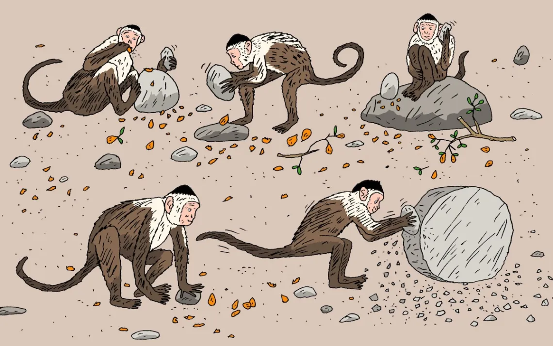 illustration of monkeys using tools