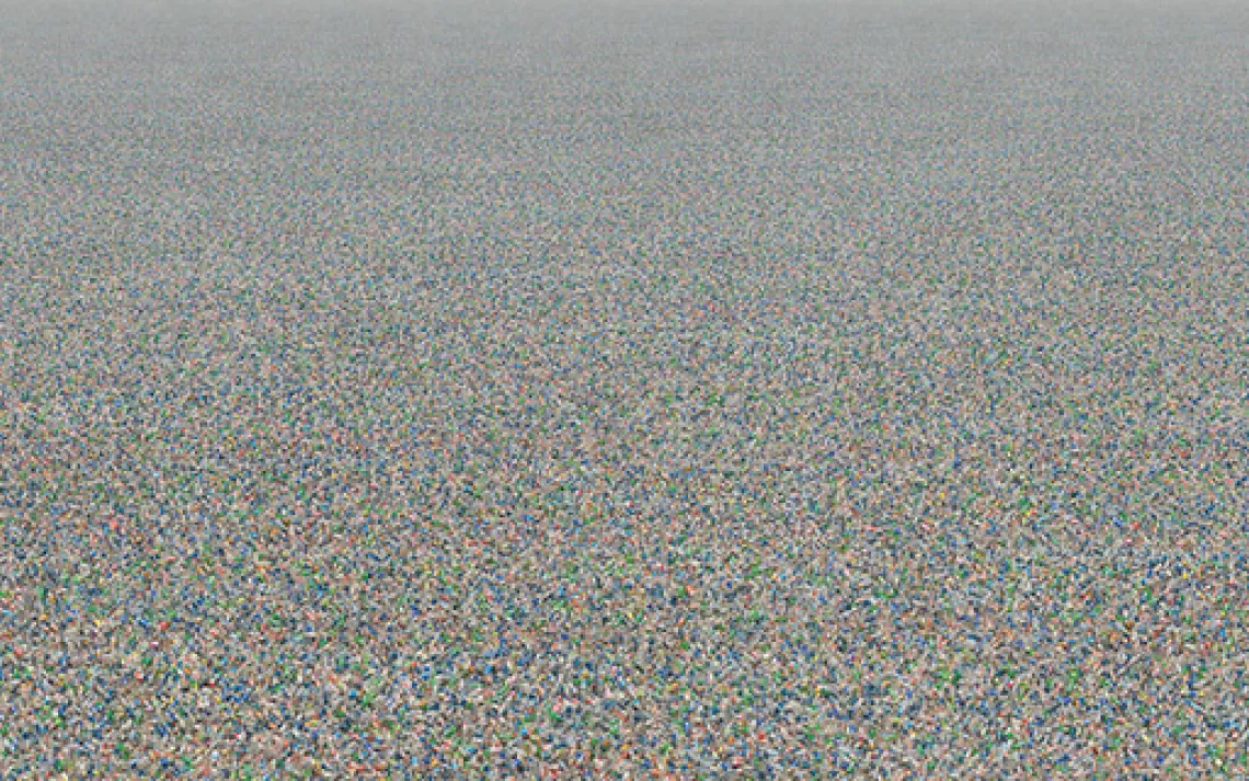 Plastic Bottles,&nbsp;2007