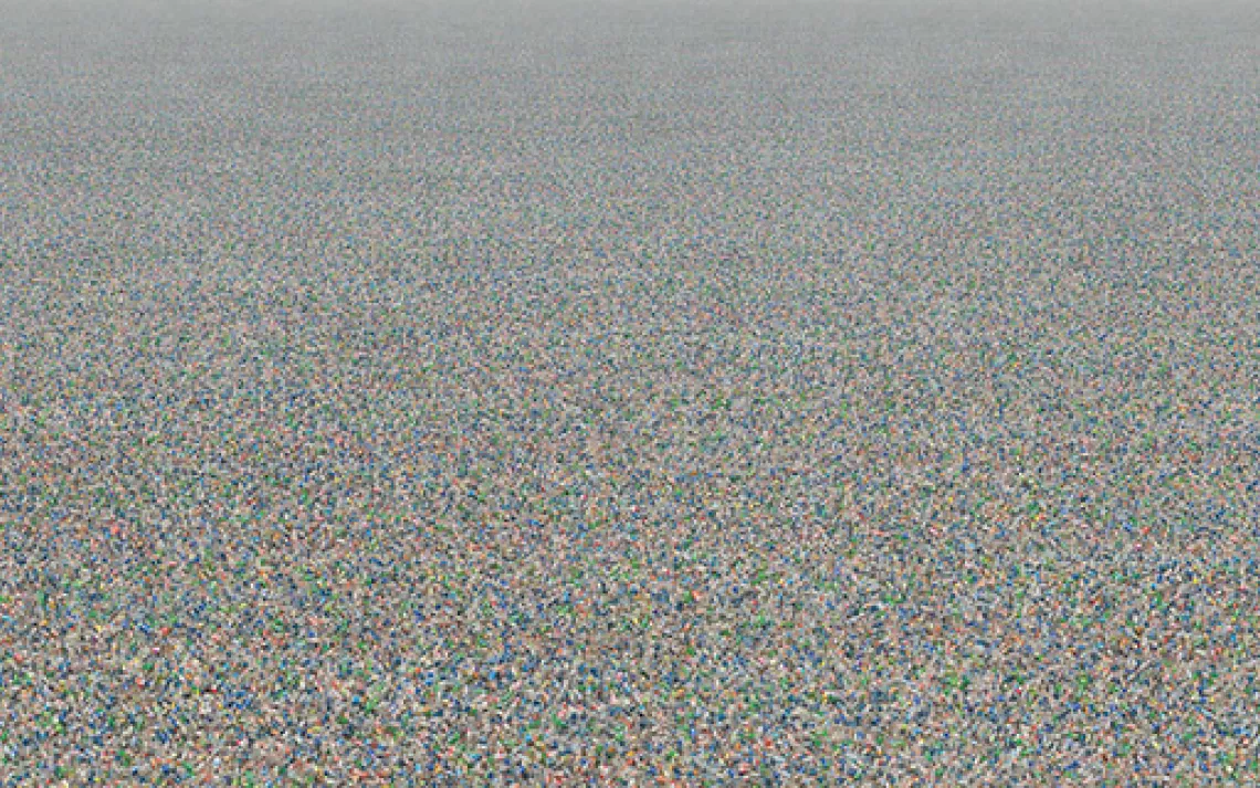 Plastic Bottles,&nbsp;2007