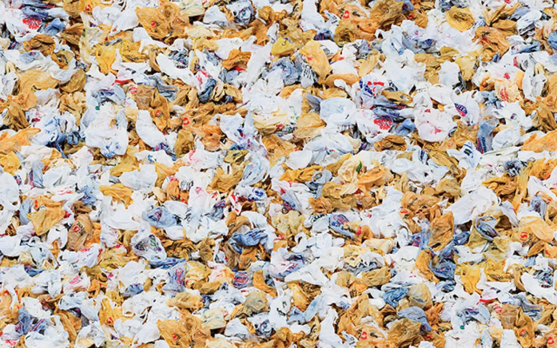 Detail from&nbsp;Plastic Bags