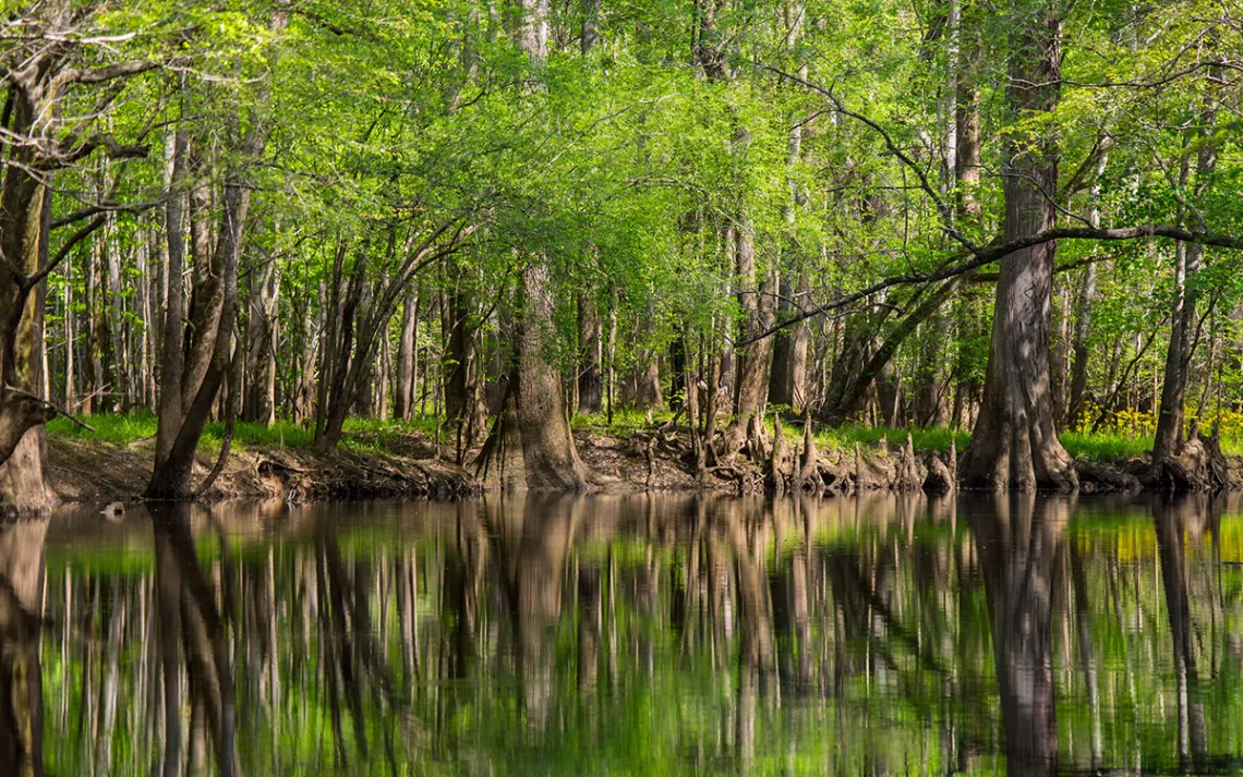 Photo by Jonathan Mauer/iStock