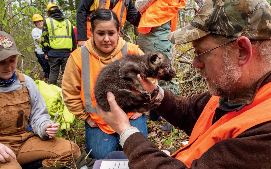 Mike Schrage holds up a gray wolf pup and looks into its eyes as Precious Tibbetts looks on.