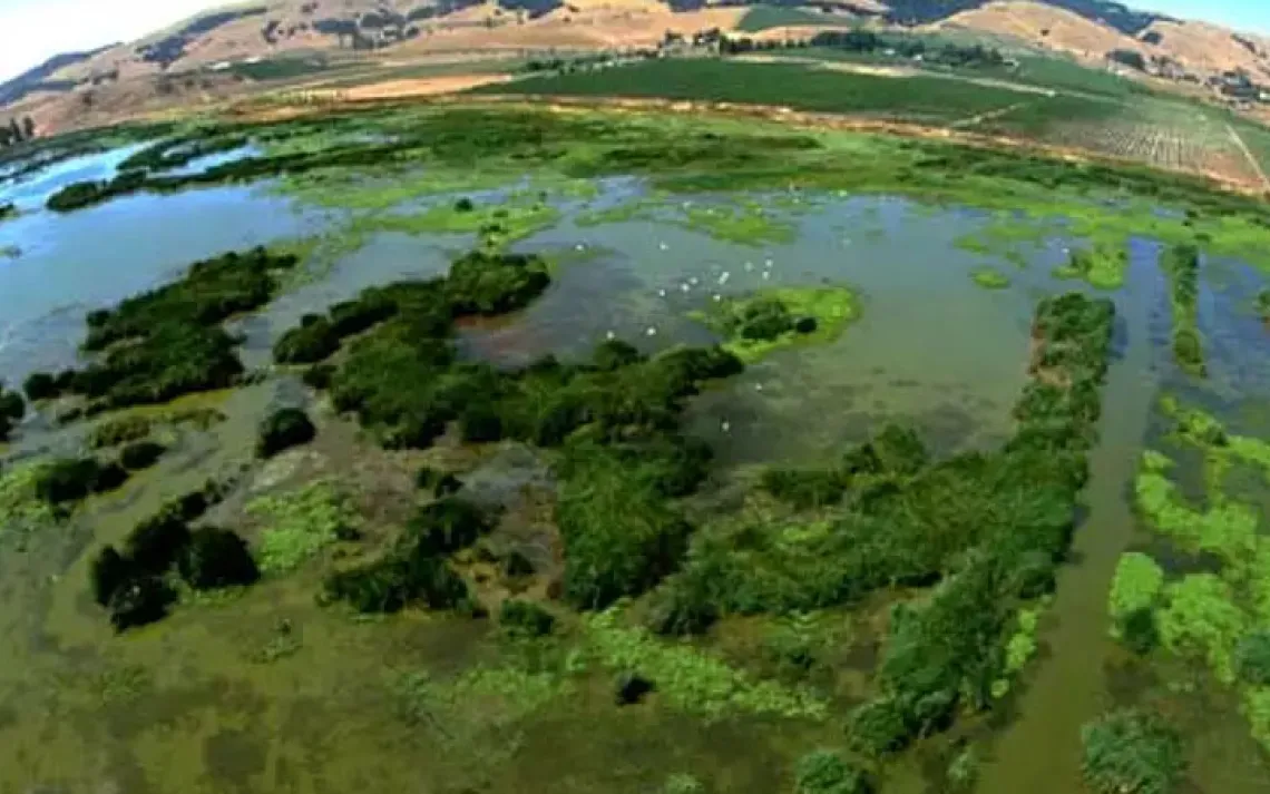 Viansa Winery wetlands