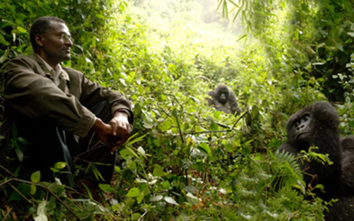 2001 Goldman Environmental Prize winner Eugène Rutagarama