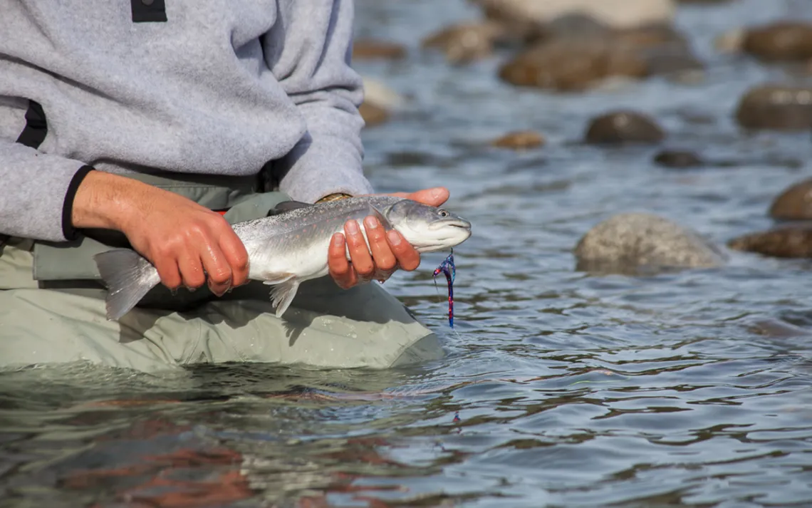 man fishing