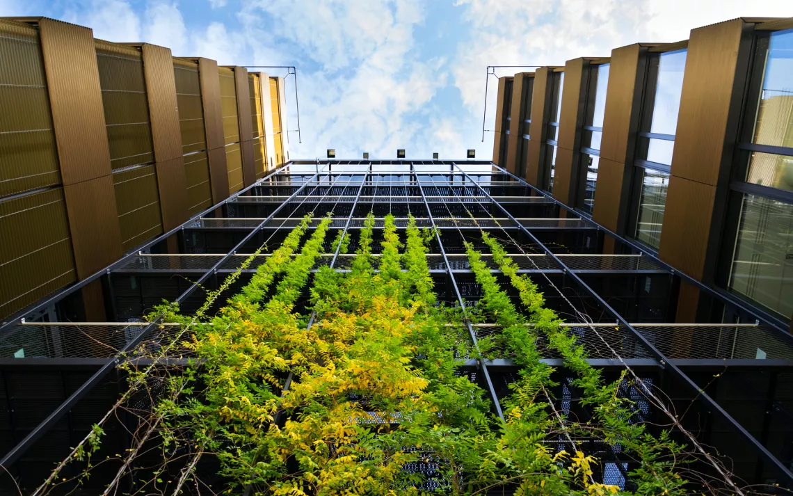 Modern office building