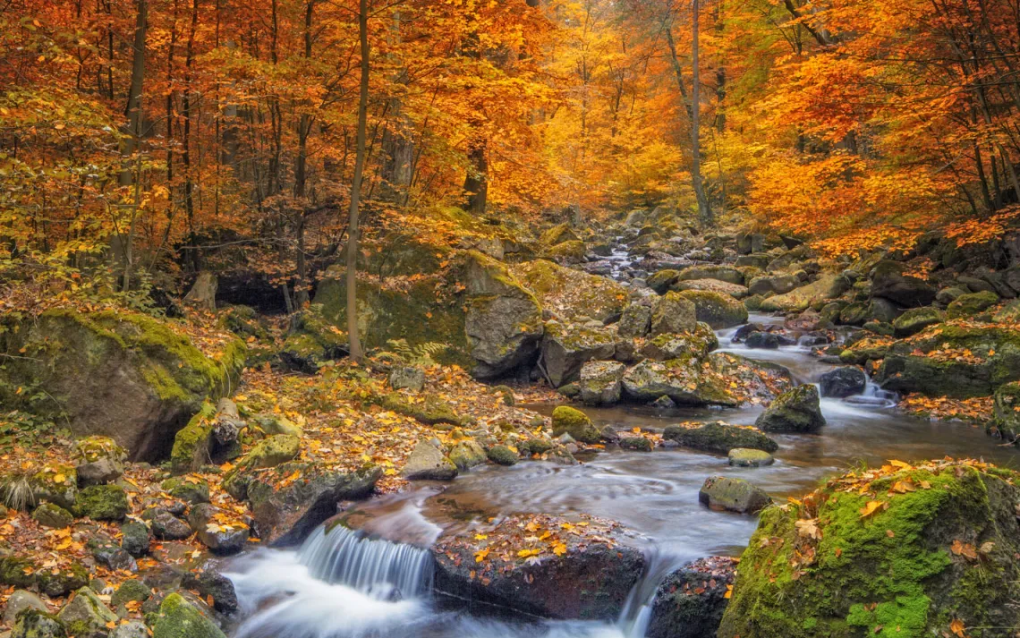 mountain stream