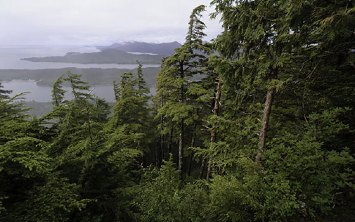Tongass National Forest