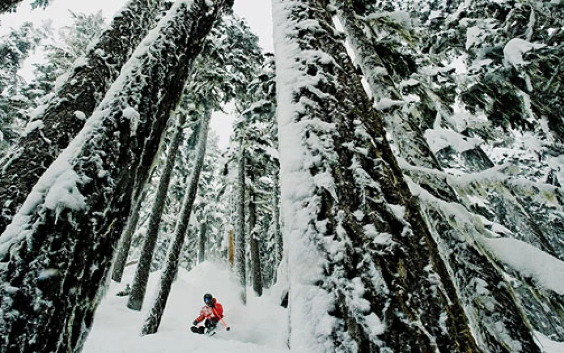 Whistler Mountain borders British Columbia's Garibaldi Provincial Park and provides access to a glacier-capped, cirque-scooped skiable wilderness.