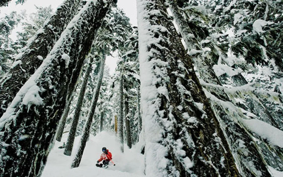 Whistler Mountain borders British Columbia's Garibaldi Provincial Park and provides access to a glacier-capped, cirque-scooped skiable wilderness.