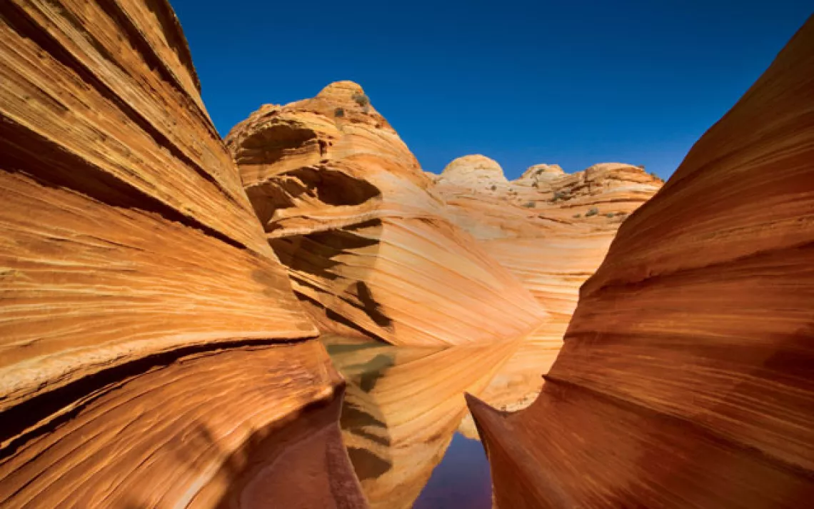The 190-million-year-old petrified sand dunes known as the Wave undulate in the Paria Canyon–Vermilion Cliffs Wilderness.