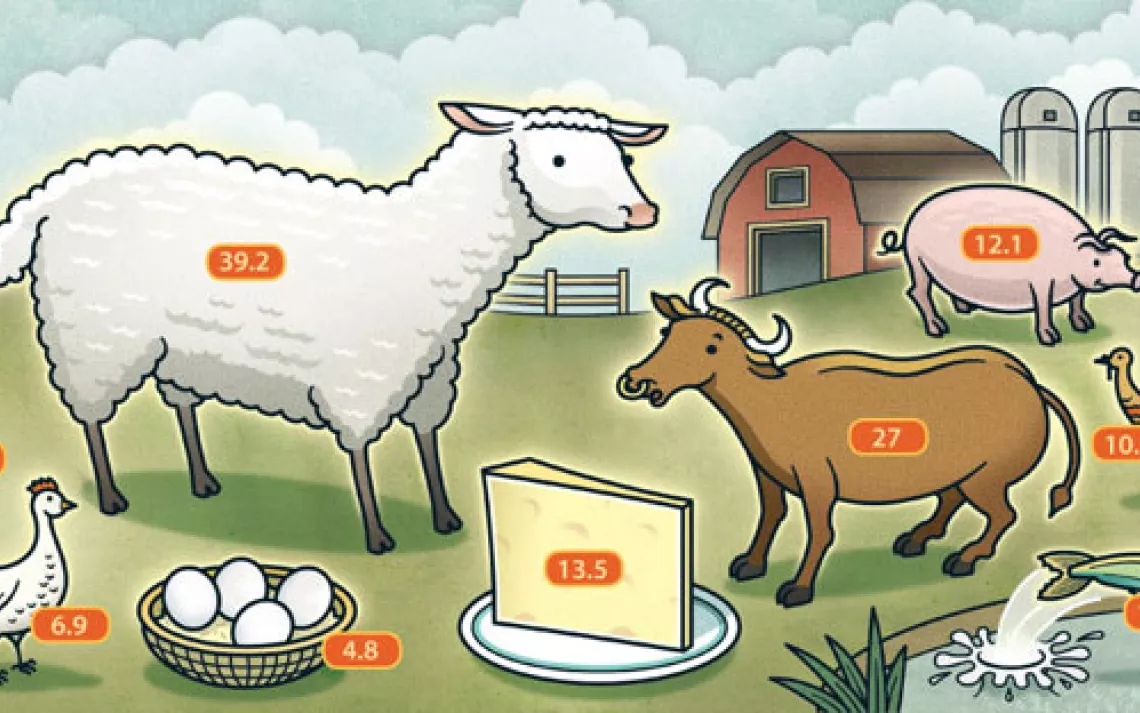 graphic showing the carbon footprint of farm animals