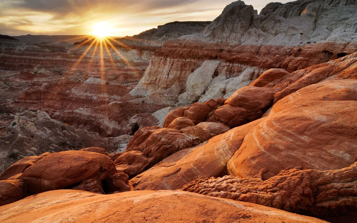 Photo by Rezus/iStock