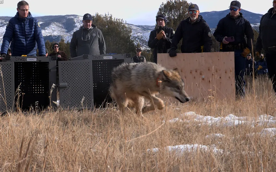 Photo Courtesy Colorado Parks Wildlife