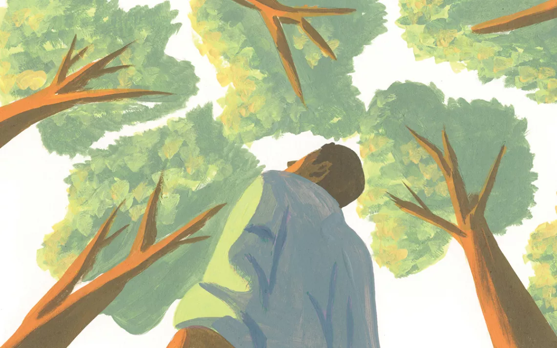 Illustration shows a man looking up at a canopy of trees