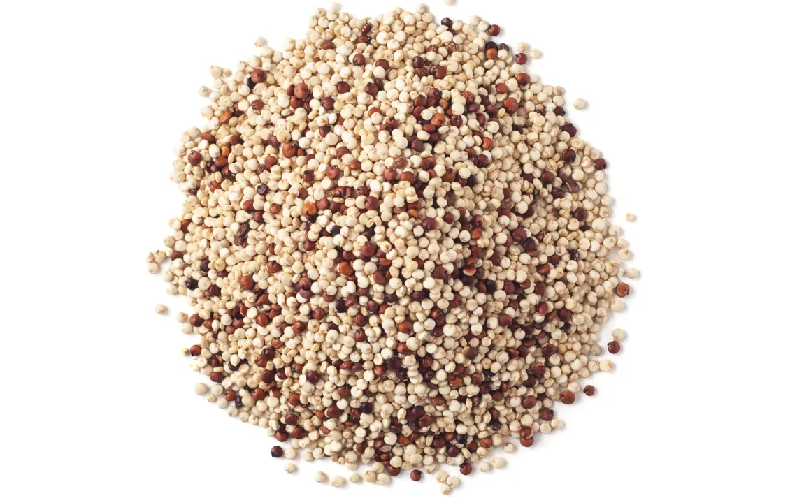 quinoa