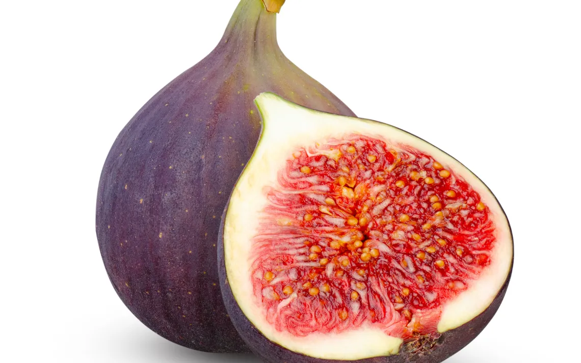 fig