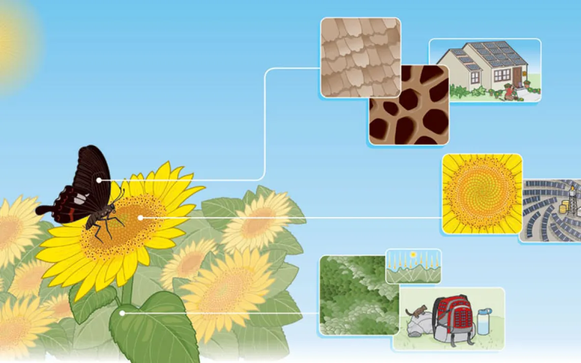 solar panel graphic