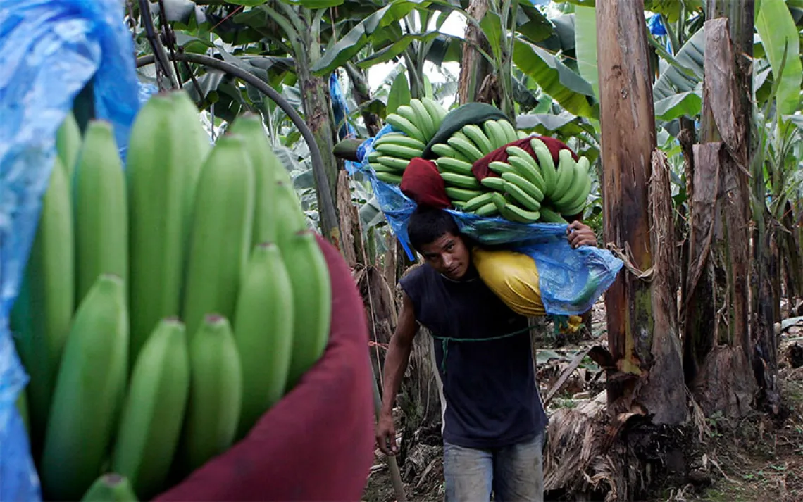Photo by Kent Gilbert via AP