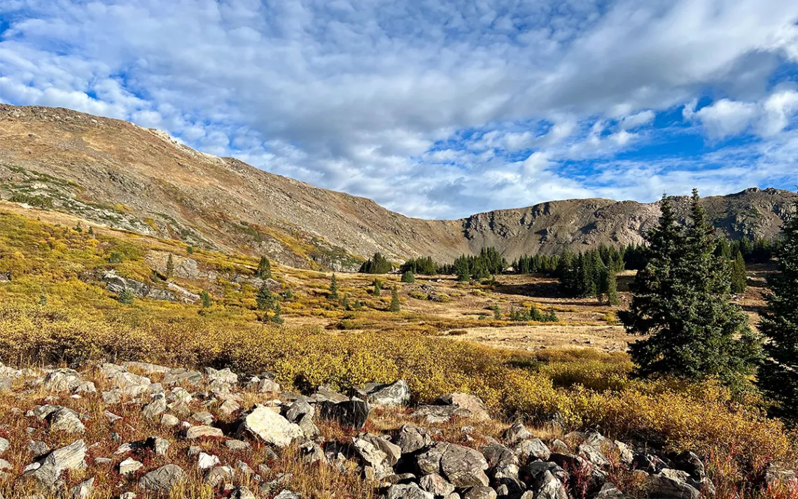 Photo by Gina DeCaprio Vercesi