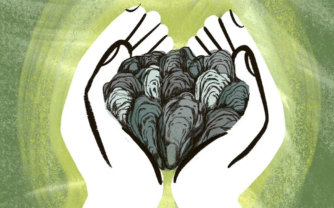 Illustration by Mercedes Minck