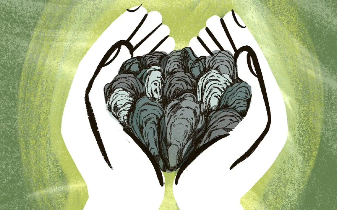 Illustration by Mercedes Minck